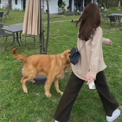 赵氏孤儿 动画版 在线观看
